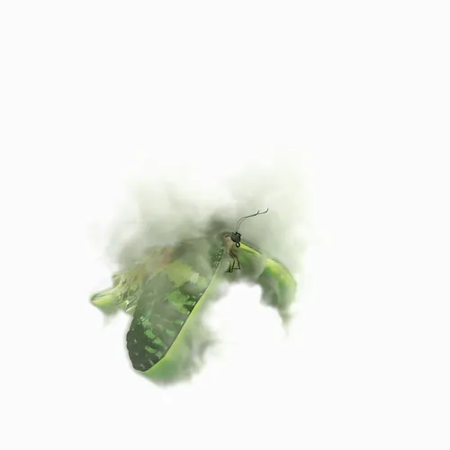 Item #110345572311072087770002040720626602182720258007880040195813309358327107420161 Media