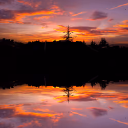 Sunsets Through My Window #5