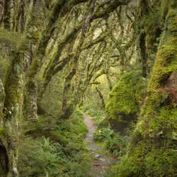 27 - Middle Earth