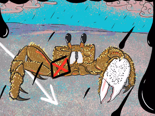 Item #102177492445544886382659035713044492308620582969953474568184538431916708200469 Media