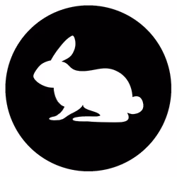follow the white rabbit