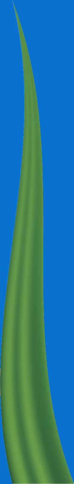 Item #78763235517899702300642317908544281341520076745003203023483945991709193666561 Media