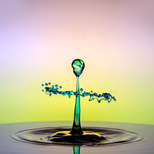 50347988261378196407957302611966700863018849611839872798074421251887683600385