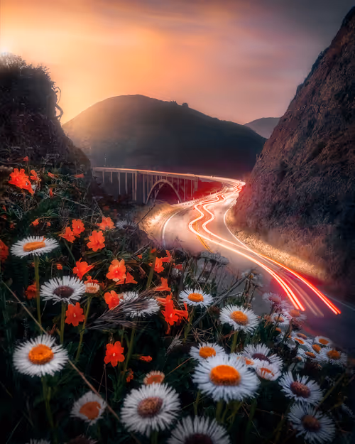 Item #50898105301689156187270630185722760964054040710391092940162900820775252525057 Media