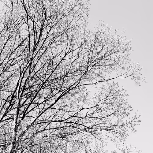 Item #35965218379738729691291467168286792303482134167127854404987491609775133687809 Media