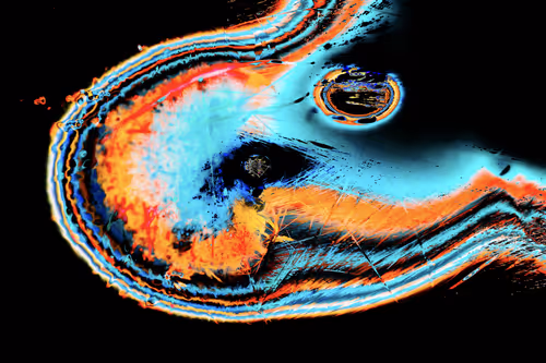 Item #52983178827140167828798930307680145442294499588078519944189482744425884942337 Media