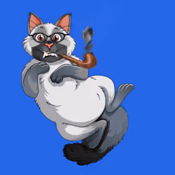 Funny Pet