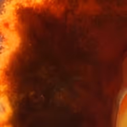 Item #100536453530513876499299345546611829335863854699572631623628955729083311849473 Media