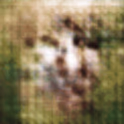 55525875118330994482032925216761404736570211771565447267945268441086701862913