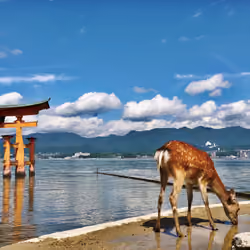 Treasures of Hiroshima #19