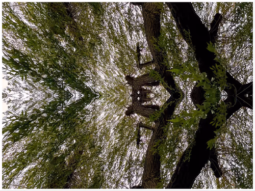 Item #39842122399831876294969041227459341578040195517803177153867578417628552626177 Media