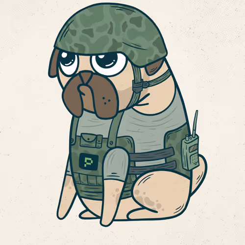 Crypto pug PHA
