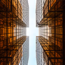 Geometric Reflections