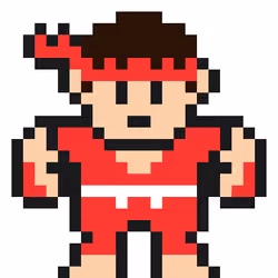 karate fighter