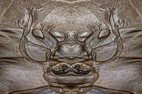 Item #6500580751707857028037968316880768826526959128474210405979815417356794986497 Media