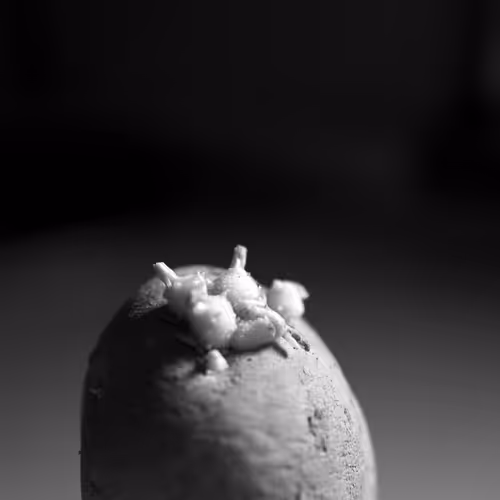 Item #106002847208740868609833758564864100377070191956822007780539652004549450792961 Media