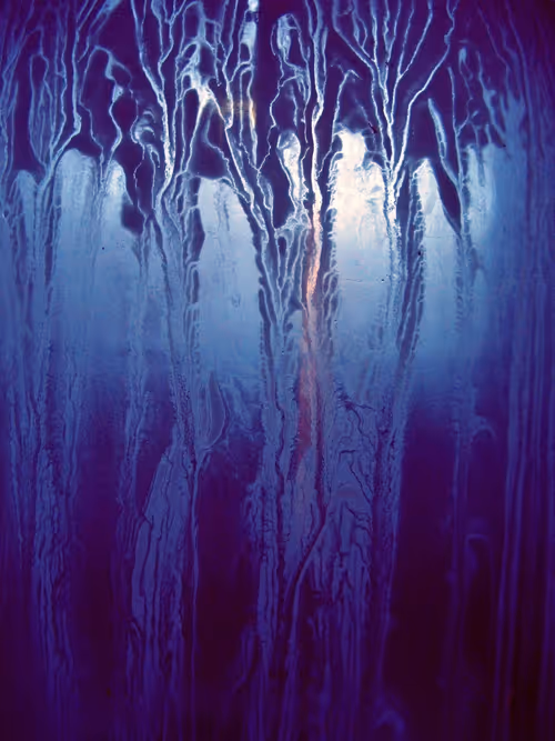 Item #41234467352345795987762093043461783770169044138766201577467704830842684571649 Media