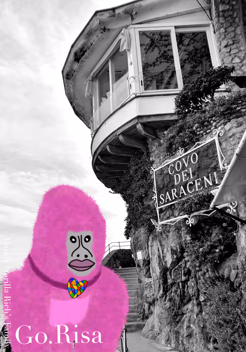 Item #42314213366083265623559810217543602715447152798818516516838269839858768805889 Media