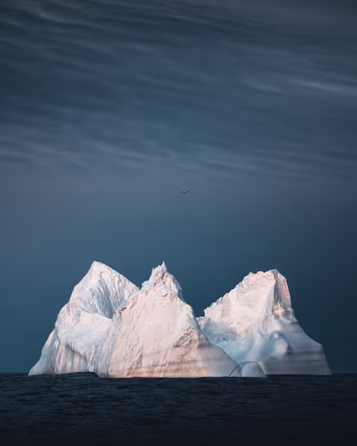 Item #59969087872528247593562305556961493003860374277083575615722774414802815025153 Media