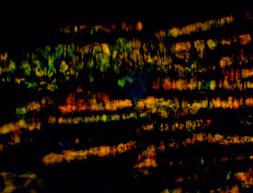 Item #71646257518770613568983710813551014237803002136866425209291833944930215002113 Media