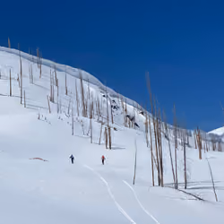 cornice #1