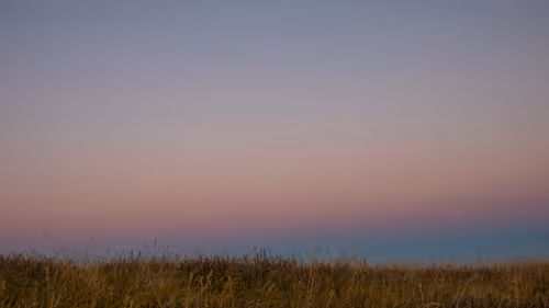 Item #100151078309057675366159992497543003968848618159963270405575559685587372867585 Media