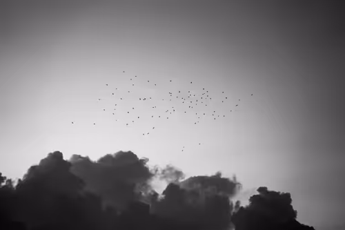 Item #87014449869533570037258101988122133423496035447680150931597385505860701126657 Media