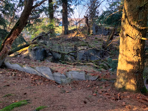 Item #105824048542883402372439637698233055099864619322085015812038144097866685087745 Media