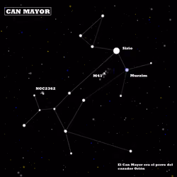 CAN MAYOR
