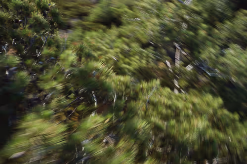 Item #38495668349306452240688866721683925223246116077147746545727998332656769040484 Media