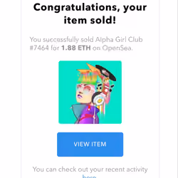 My First Ever Mint and first sell - Goodbye My Lady, Miss you already 