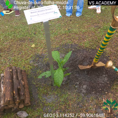 Item #8500196597889277390194123329501889087166328879864934763448348763243174428673 Media