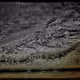 51441221494140071844584764447079989669401484350947870568887994703869588275201