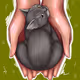 Dream Pet