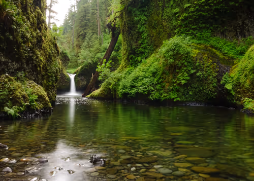 Item #85108885410868237358729630107342733558834048724782448774990413348872933867521 Media