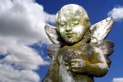 Lost Angel