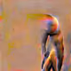 88071877523868145720214397290307477030949410038512382739981248687394611265537