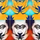 48387297379077457054715112028902150311789095371962080151027489649035743068161