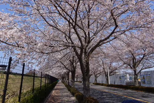 Item #2798886557042806862996260737379437753708202189265976662753732487275071143937 Media