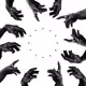 75337489964486720162025728583600064603286027733611774240812882890994839715841
