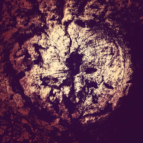 Item #75161883085366100123449825660460491796421375426446498585875262835665821237249 Media