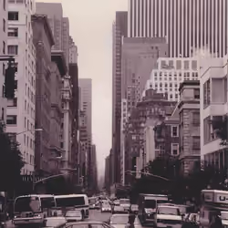 #7 New York 1998