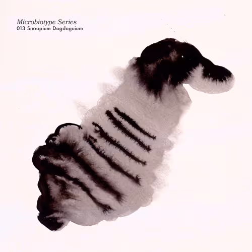 Item #20537471166803336483697920459392139182541277411208615206121837233899506237441 Media