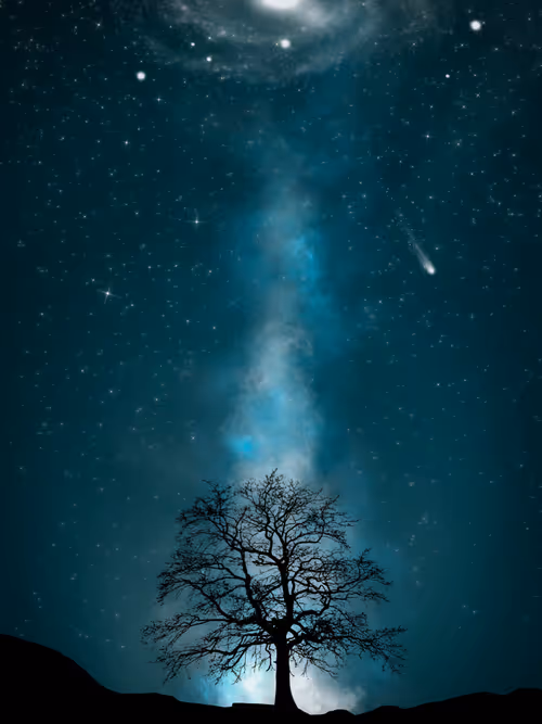 Item #18601532991946589663279280472963607909548267336888450902391313934557869244417 Media