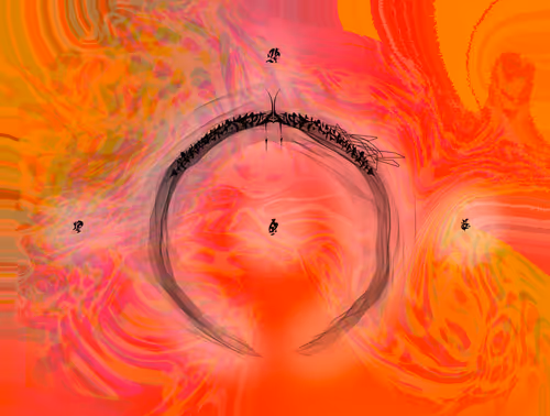 Item #7337919021476473010516080548400524729331282711541534814042146299010550333441 Media