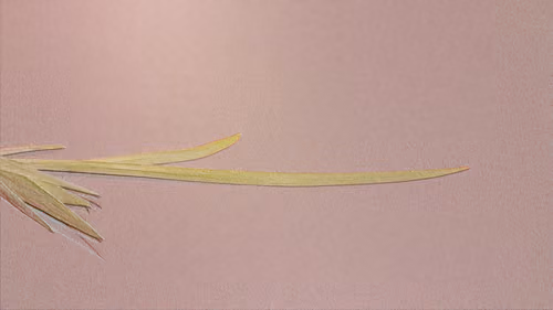 Item #78210539594542407508711006072734093230352960355506095092598979250700609912837 Media