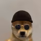 8316562894969602144694638309153562143625037230707950572202173824682935975937