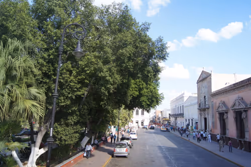 Item #40204312931910274261888319886493561627181628932808286703084245956145247682561 Media