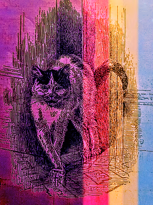 Item #35247308013863639916483757756408588227786114589757564733366544628714980769822 Media