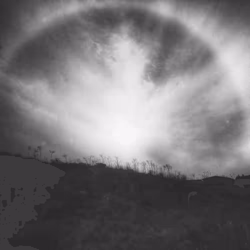 Monochrome by Tom Davis